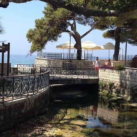 Nika On The Apartman Mlini